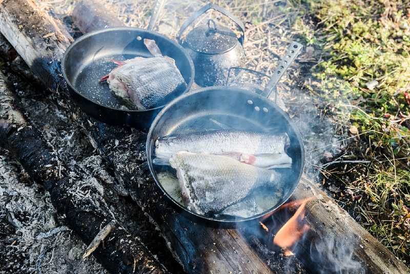 Best Cast Iron Skillet for Camping