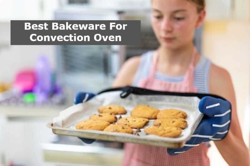 Best Bakeware For Convection Oven